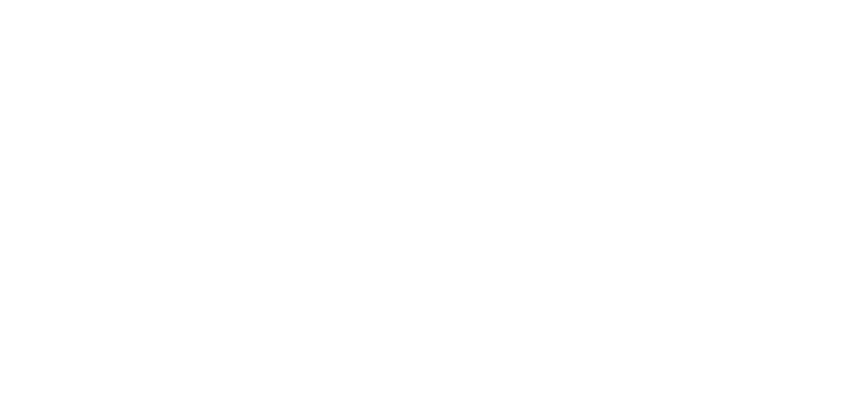 Vienna Pitts Creative Logo